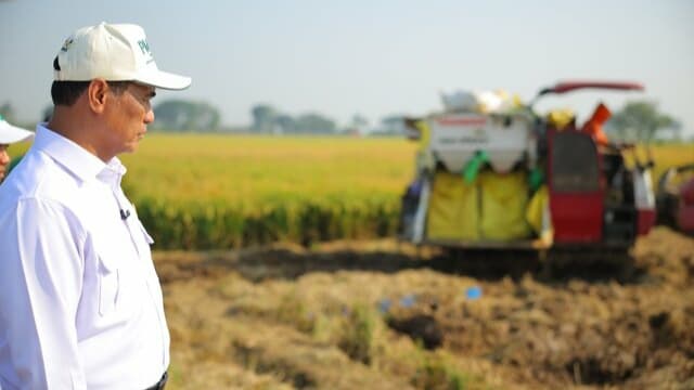 Mentan Amran: PM-AAS Gandakan Hasil Panen, Pendapatan Petani Ikut Naik