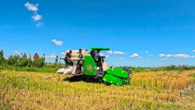 Angka Tetap BPS: Produksi Beras Januari–April 2026 Tumbuh, Luas Panen dan Produksi Padi Ikut Naik