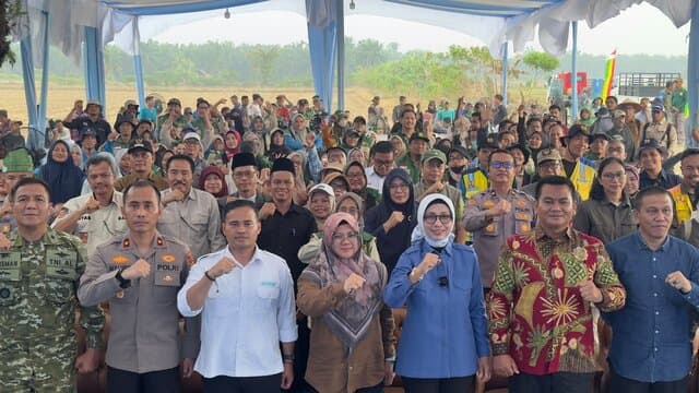 Kementan Percepat Tanam 50.000 Hektare, Dorong Peningkatan IP dan Antisipasi El Nino