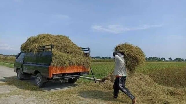Lewat Mekanisasi, Kementan Upayakan Residu Tanaman Miliki Nilai Tambah